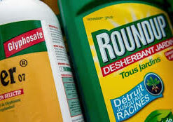 Roundup Glyphosate 360 gr/lt (Non-Selective Systemic Herbicide)