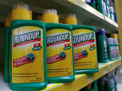 roundup herbicide 1 litre price