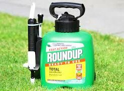 roundup glyphosate weed killer