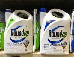 roundup herbicide 5 litre price