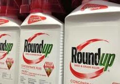 Efekto - Roundup RTU Herbicide - 5 Litre5,01Concentrate