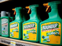 roundup gel weed killer