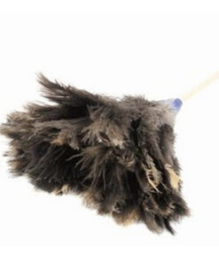 Feather Duster - Genuine Ostrich Feathers - Large Head - 1.8m - Pack of 5 - F9006