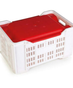 Lid for Meat Crate - PLI-PI-401 Agri Lug - 50 x 35.5 x 5.5 cm - Virgin Material - HACCP - PI-401-Lid-virgin