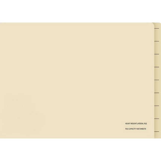 Lateral Document Files - Foolscap - Heavy Weight - 233gsm - A4 - Pack of 200 - FILLHW200