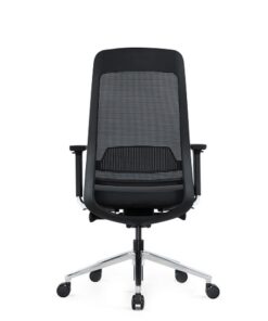 Ergonomic Executive Chair - Without Headrest - EEXEC