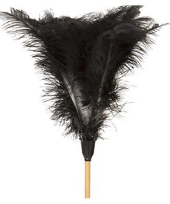 Feather Duster - Medium - 900mm