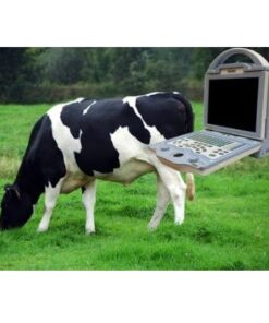 Alternative view of KX5600V Vet Ultrasound Machine