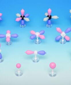 Molecular model set Organic Stereochemistry Student Set, 70 atoms