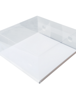 Clear Box with Clip – 250 x 250 x 130mm