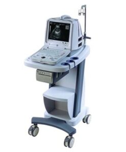 Ultrasound Black/white trolley monitor