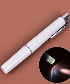 Pupil Torch – Budget _ Silver