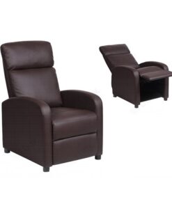 Reclining Chair Model REC BD 001