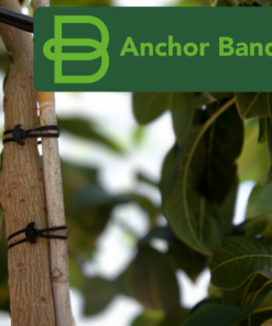 Bandex Anchor Band 120X5Mm - 1Kg