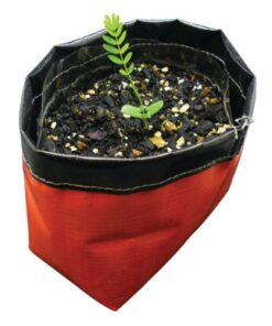 Recycled Drink Bottle Desktop Plant Pot – Full Colour Print Incl